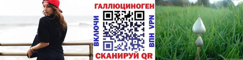 mega зеркало  Находка  Галлюциногенные грибы прущие грибы 