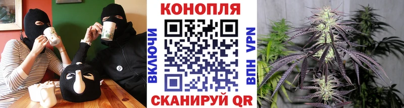 купить закладку Находка Шишки марихуана марихуана